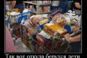 Демотиваторы в начале недели