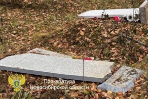 В Новосибирской области трое младшеклассников устроили погром на кладбище