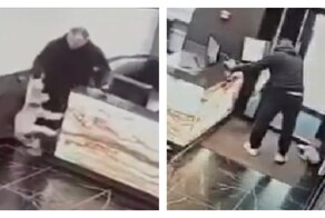 Хабаровчанин избил маленькую собаку в подъезде