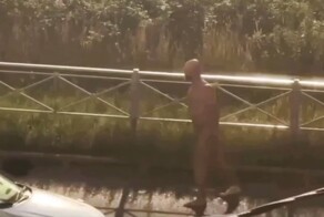 Голый поклонник Санкт-Петербурга