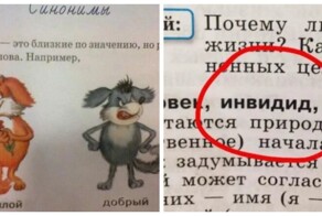 20 ляпов и ошибок в учебниках и детских книжках, которые вас развеселят
