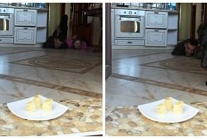 Собака перехитрила пару