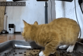 Просто гифки, всякие и разные