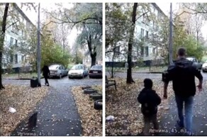 Собака кусает — хозяин бьёт: колпинский сюрприз выходного дня