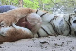 Просто гифки, всякие и разные