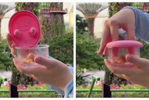 Забавная крышка контейнера