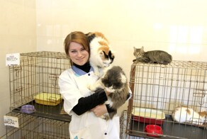 Подробная анкета в приютах для животных – необходимая защита или избыточная преграда?