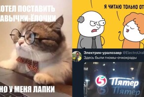 Лабрадорные исследования и надсолнух: лингвошутки и каламбуры