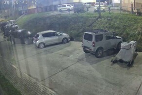 Косолапый полуночник