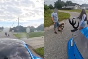 Ссора на дороге во Флориде закончилась угрозами с оружием