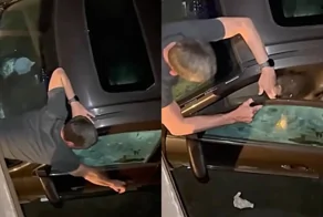 Медведь залез в машину за едой и укусил мужчину