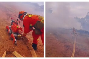 Робопёс помогает тушить пожары