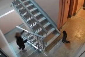 Мальчик избил кота в подъезде во Владивостоке