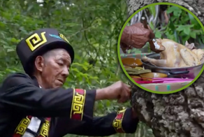 Дерево-обжора: почему в Китае деревья «едят» свинину и пьют вино