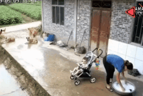 Просто гифки, всякие и&nbsp;разные