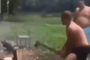 Просто гифки, всякие и&nbsp;разные