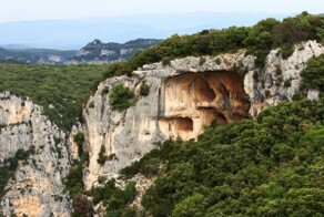 77-летний мужчина упал в&nbsp;глубокую ловушку и&nbsp;три дня был вынужден пить только вино