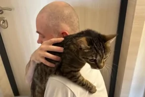 Останкинский суд вынес приговор стрит-арт художнику, пытавшемуся убить кота в прямом эфире