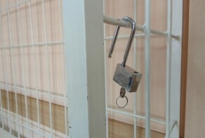 Сибиряк получил 10 суток ареста из-за торта на день рождения