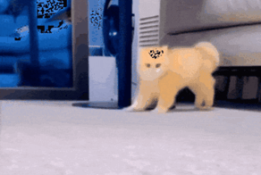 Просто гифки, всякие и&nbsp;разные