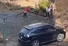 Пенсионерка побила соседей доской