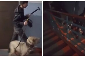 В Омске женщина с молотком и отверткой пугает соседей