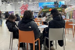 Депутат предложил оправлять разгуливающую в торговых центрах молодёжь на заводы