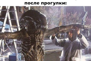 Смешные картинки