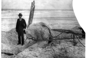 Глобстеры – таинственные бесформенные призраки океана