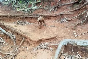 20 ярких примеров того, как виртуозно глаза и мозг могут нас обманывать, создавая новую реальность