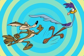 В США засняли погоню койота за дорожным бегуном