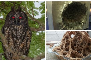 30 впечатляющих снимков со всего света