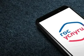 "Вероятность является высокой": в России могут ввести вход в интернет с авторизацией "Госуслуги"