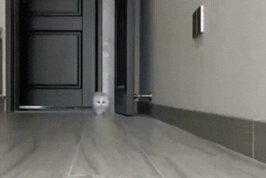 Просто гифки, всякие и&nbsp;разные