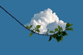 20 примеров безупречной гармонии, превратившейся в искусство