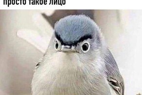 Епископ объяснил, почему скорбь — это русский стиль