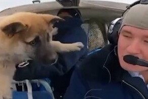 Пилот из ХМАО отправил своего щенка в невесомость