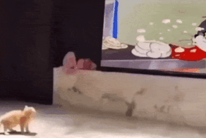 Просто гифки, всякие и&nbsp;разные