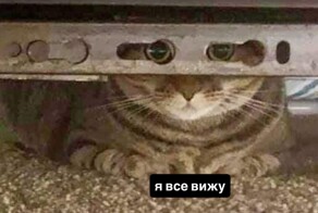 ФНС решила бороться со скрывающими доход неработающими москвичами