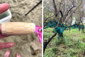 Необычные находки и их объяснение пользователями сети