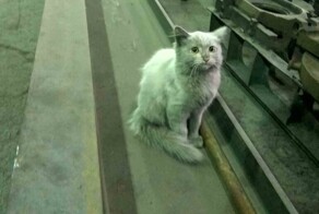 Для работяг с заводов выпустили «силовой костюм»