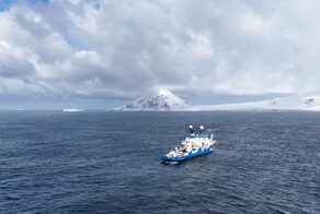 Под ледяной коркой Антарктиды нашли 30 новых видов живых существ