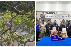 Пара занялась любовью на глазах у туристов в Таиланде