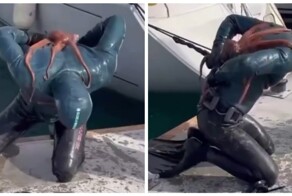 Осьминог напал на дайвера в Турции