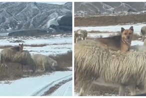 Минимум усилий — максимум контроля