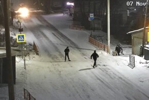 Собака там выглядит самой умной