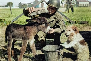 Редкие и интересные фотоматериалы с фронтов Второй Мировой Войны