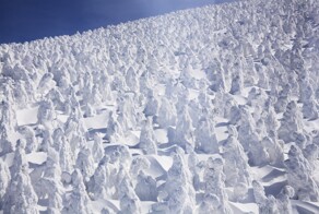 Джухё – ледяные призрачные стражи горы Дзао