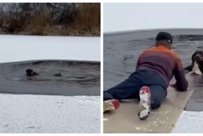 Герой на льду: мужчина вытащил собаку из воды в Тюмени