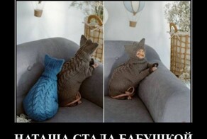 Демотиваторов порция